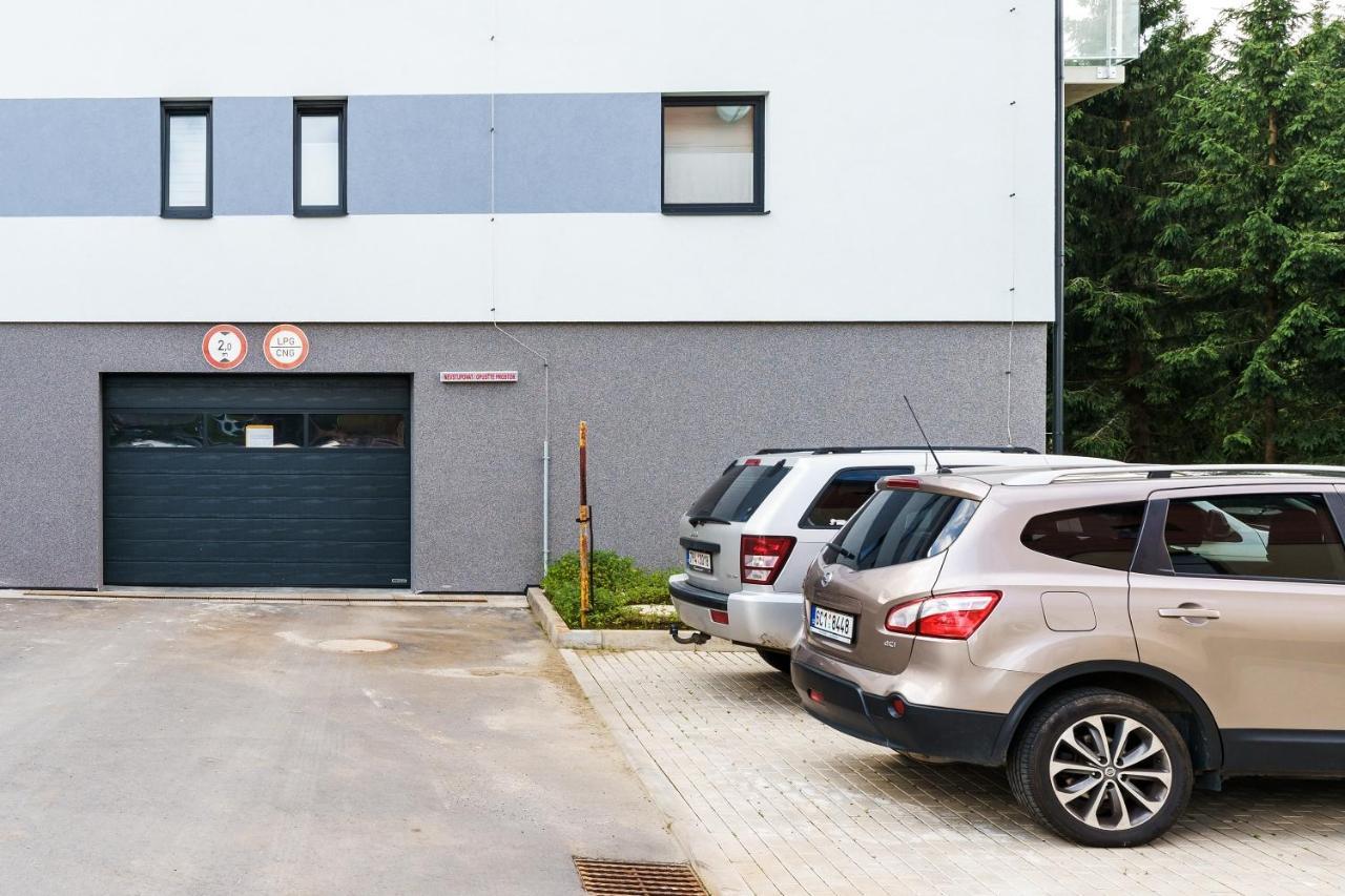 Green Apartment Klinovec By Mountain Ways Loucna pod Klinovcem Exterior photo